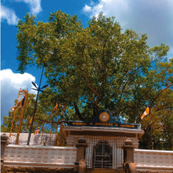 ANURADHAPURA